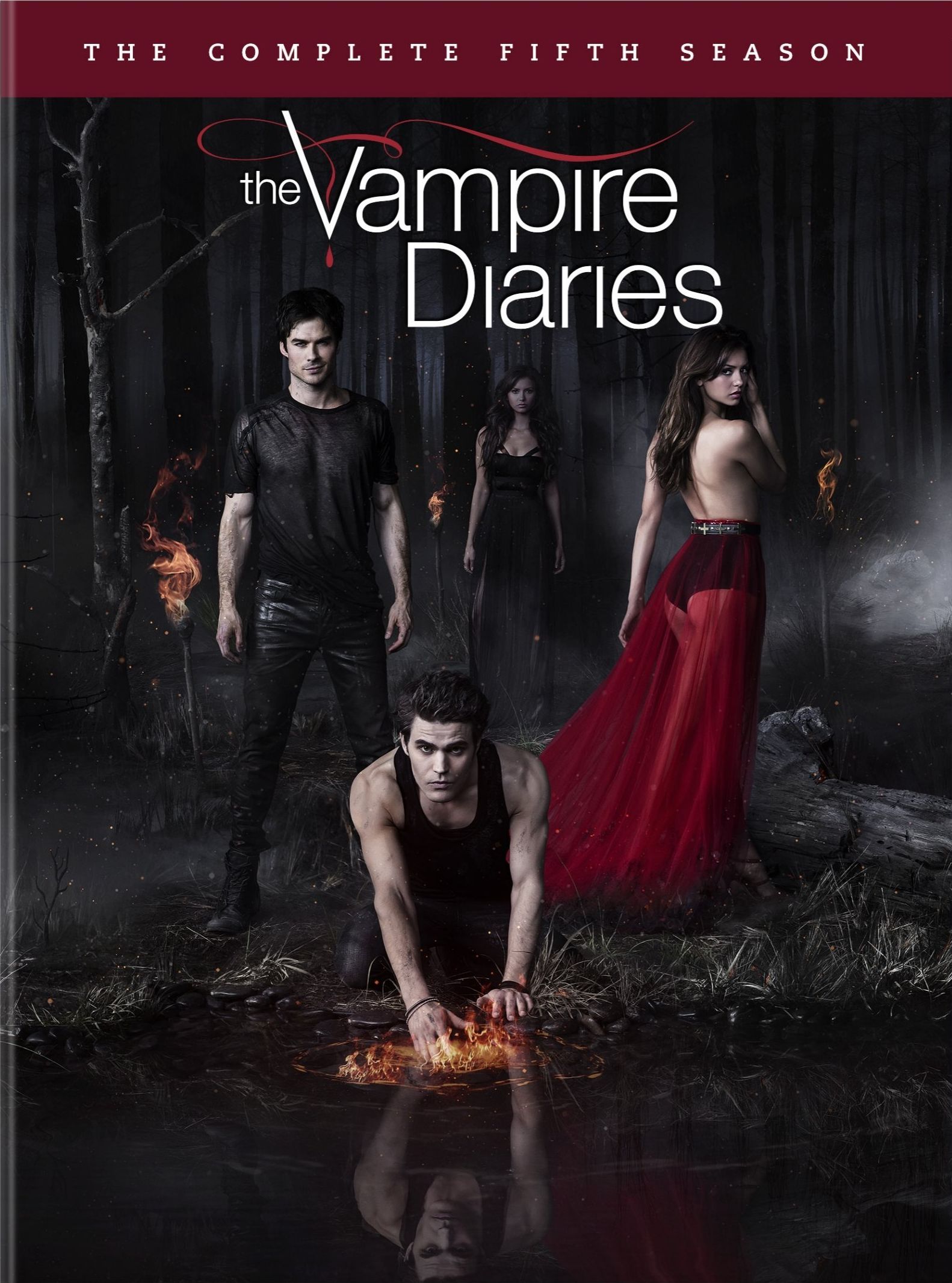 The Vampire Diaries Season 4 Poster  Vampire diaries seasons, Vampire  diaries, Vampire