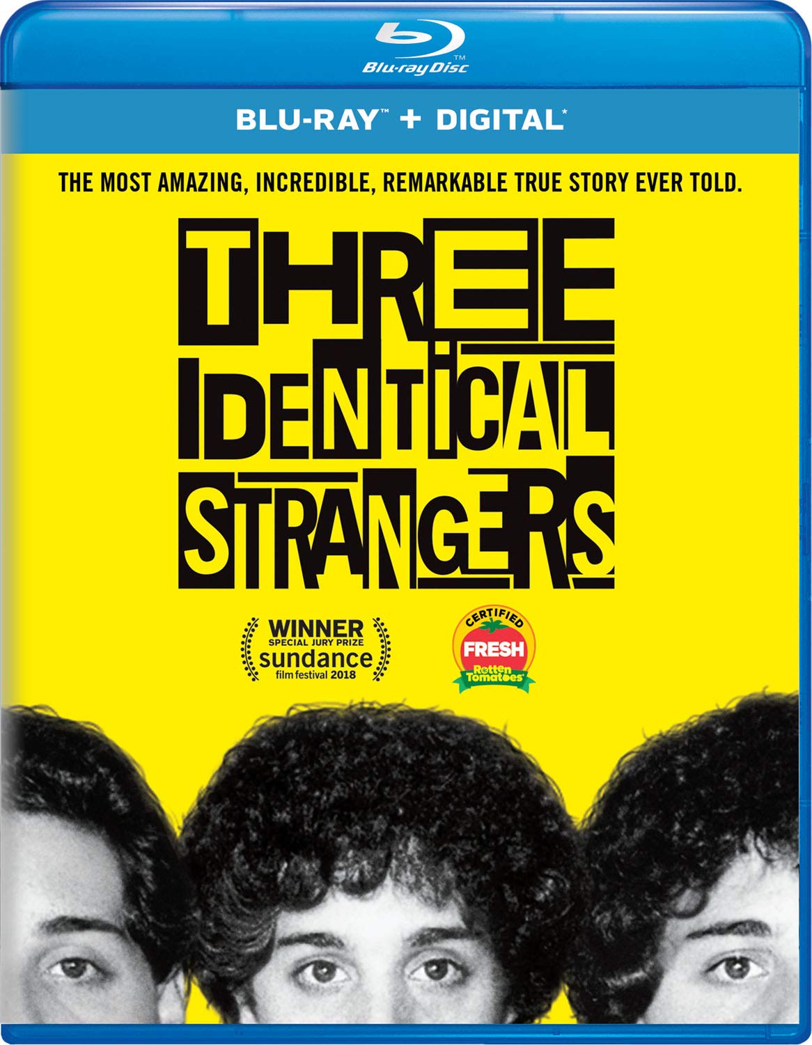 2018 Three Identical Strangers