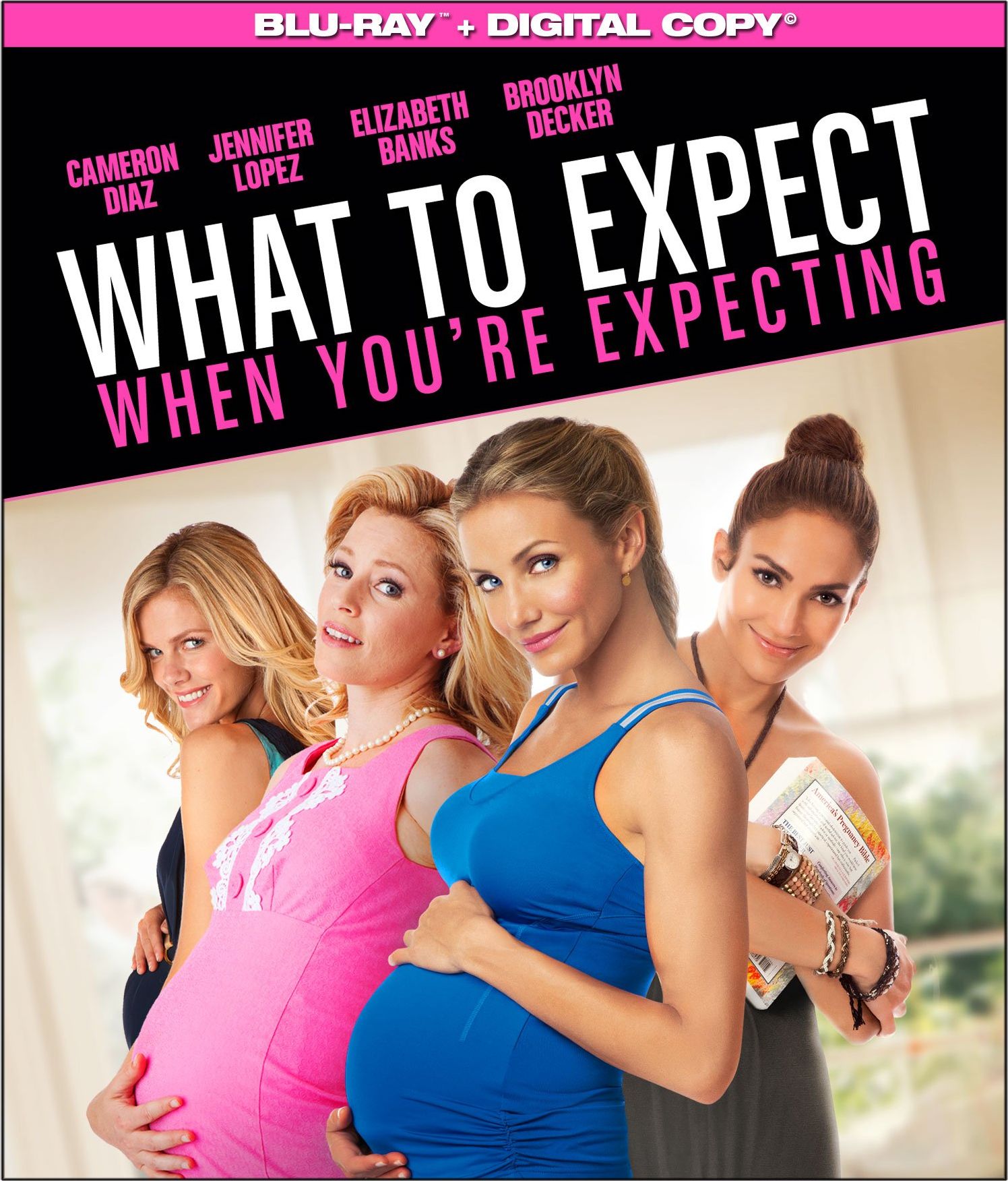 What to Expect When You're Expecting DVD Release Date 