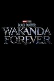 Black Panther: Wakanda Forever DVD Release Date