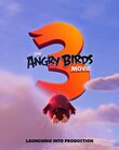 The Angry Birds Movie 3 DVD Release Date