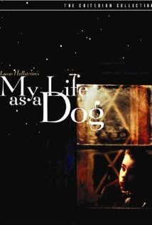 My Life as a Dog (1985) DVD Release Date