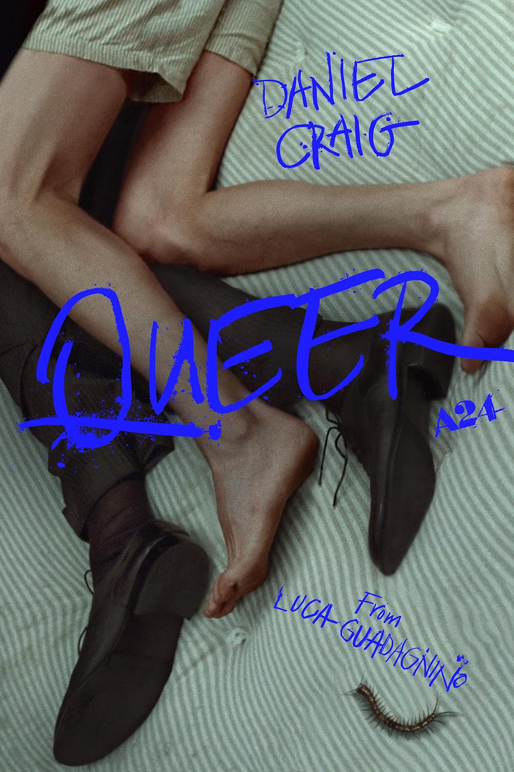 Queer DVD Release Date