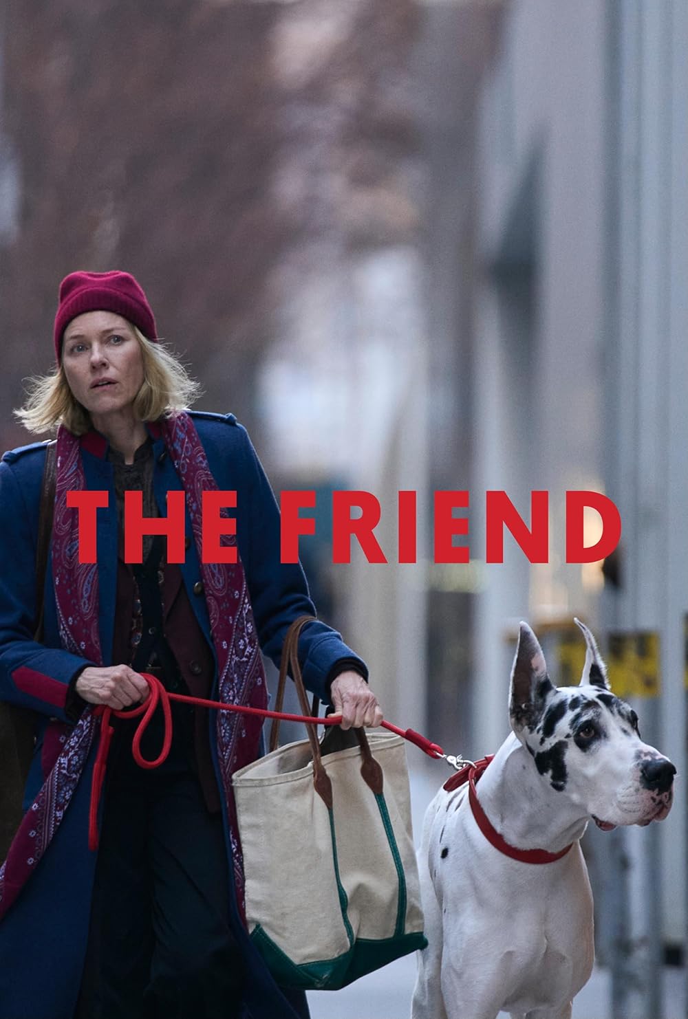 The friend dvd release date