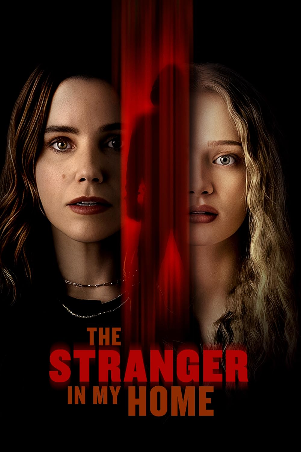 The Stranger in My Home (2025) DVD Release Date