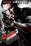 12 Rounds 3: Lockdown DVD Release Date