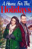 A Home for the Holidays DVD release date