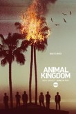 Animal Kingdom DVD Release Date