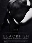 Blackfish DVD Release Date