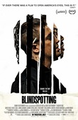 Blindspotting DVD Release Date