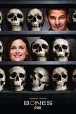 Bones: Season 8 DVD Release Date