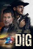 Dig Blu-ray release date