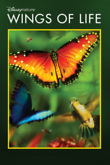 Disneynature: Wings of Life DVD Release Date