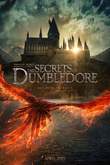 Fantastic Beasts: The Secrets of Dumbledore DVD Release Date