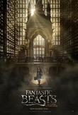 Fantastic Beasts and Where to Find Them DVD Release Date