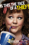 Identity Thief DVD Release Date