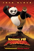 Kung Fu Panda DVD Release Date