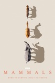 Mammals DVD Release Date