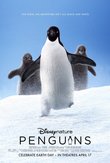 Penguins DVD Release Date