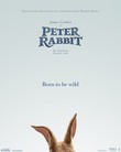 Peter Rabbit DVD Release Date