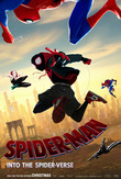 Spider-Man: Into the Spider-Verse DVD Release Date
