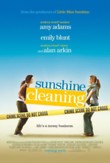 Sunshine Cleaning DVD Release Date
