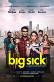The Big Sick DVD Release Date