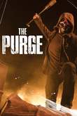 The Purge DVD Release Date