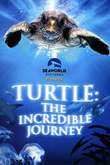 Turtle: The Incredible Journey DVD Release Date