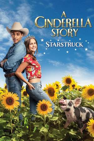 A Cinderella Story: Starstruck (2021) DVD Release Date