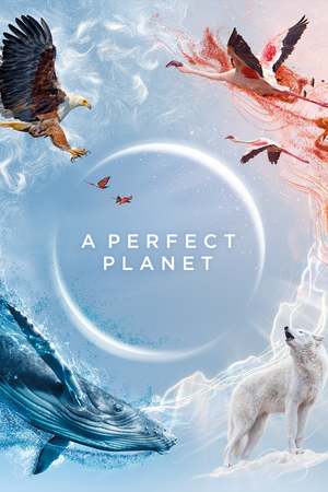 A Perfect Planet (TV Series 2021- ) DVD Release Date