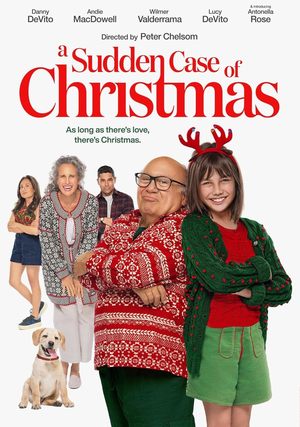 A Sudden Case of Christmas (2024) DVD Release Date