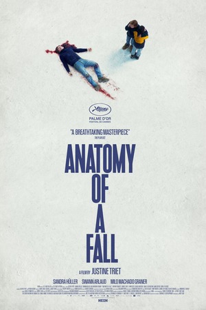Anatomy of a Fall (2023) DVD Release Date