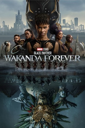 Black Panther: Wakanda Forever (2022) DVD Release Date