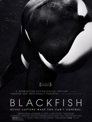 Blackfish (2013) DVD Release Date