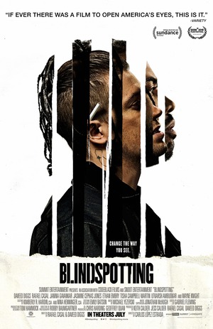 Blindspotting (2018) DVD Release Date