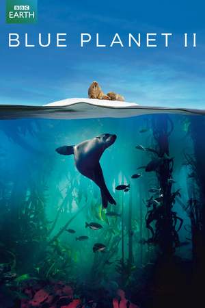 Blue Planet II (TV Mini-Series 2017) DVD Release Date