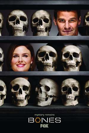 Bones (TV Series 2005-) DVD Release Date