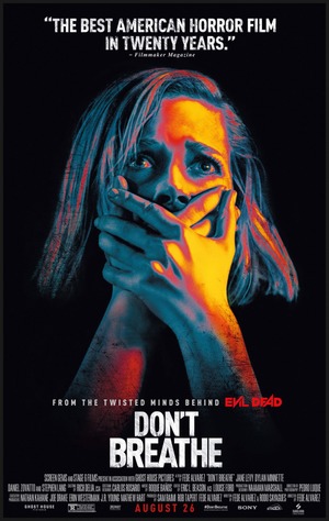 Don't Breathe (2016) DVD Release Date