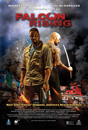 Falcon Rising (2014) DVD Release Date