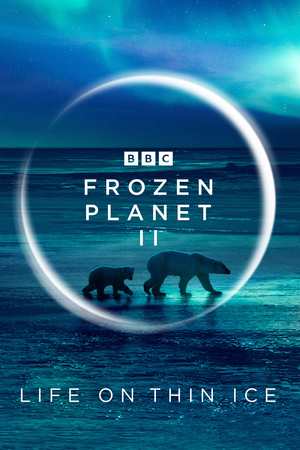 Frozen Planet II (TV Mini Series 2022) DVD Release Date