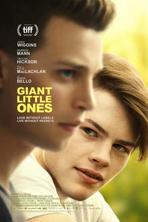 Giant Little Ones (2018) DVD Release Date