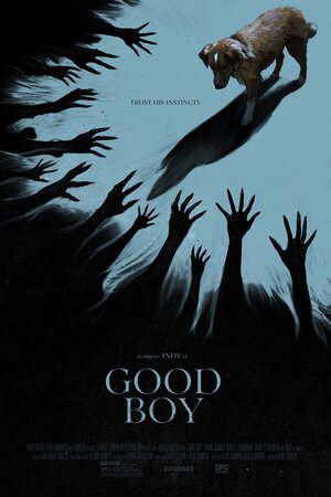 Good Boy (2025) DVD Release Date
