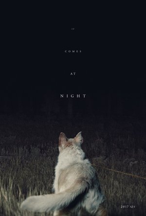 It Comes at Night (2017) DVD Release Date