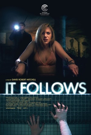 It Follows (2014) DVD Release Date