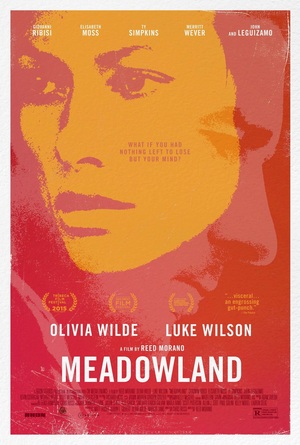 Meadowland (2015) DVD Release Date
