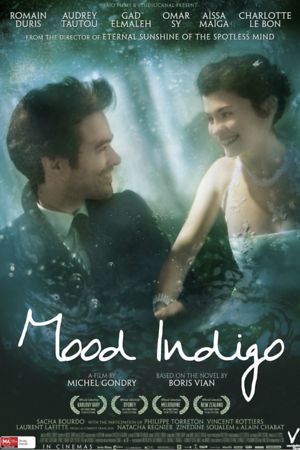 Mood Indigo (2013) DVD Release Date