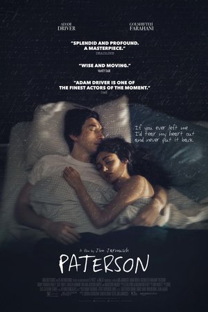 Paterson (2016) DVD Release Date
