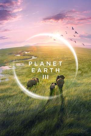 Planet Earth III (TV Mini Series 2023) DVD Release Date