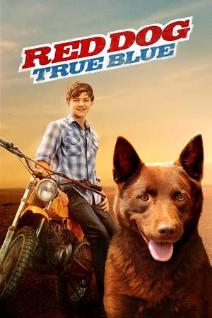 Red Dog: True Blue (2016) DVD Release Date